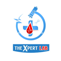 thexpertlab